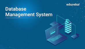 The Ultimate Guide to Database Management